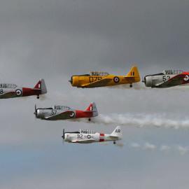2010 Tauranga Airshow