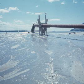 Dredged from Teremoana
