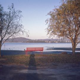Tauranga from Memorial Park, evening