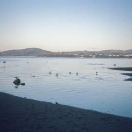 Tauranga from Memorial Park