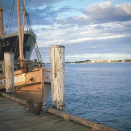Tauranga waterfront from Fishermans Wharf, evening