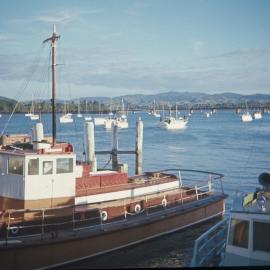 Tauranga waterfront from Coronation Pier