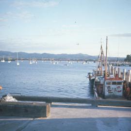 Tauranga waterfront from export wharf