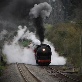 Nigel Watts photos of 2011 Jazz train