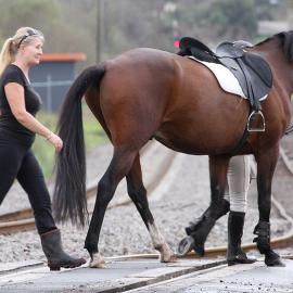 Nigel Watts photos of 2011 Jazz train