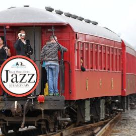 Nigel Watts photos of 2011 Jazz train