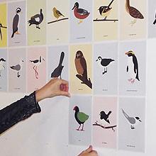 Alice Berry assembling her 100 Images Project