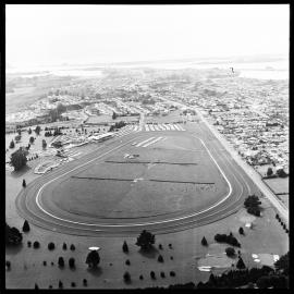 Bay of Plenty Horse Racing Club