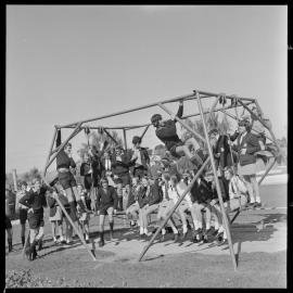 Thames College students,  Memorial Park 