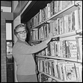 Mount Maunganui Library
