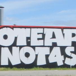 Aotearoa is Not 4 Sale by Owen Dippie