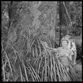 Kaimai Forest Park tour