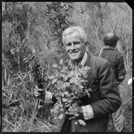 Kaimai Forest Park tour