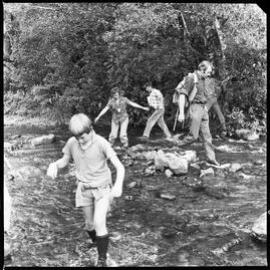 Kaimai Forest Park tour