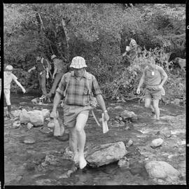 Kaimai Forest Park tour