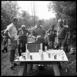 Kaimai Forest Park tour