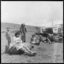 Matakana Island farmers