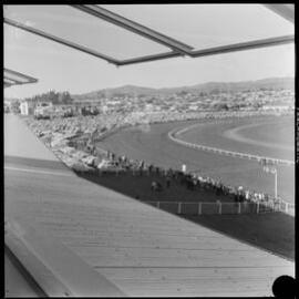 Tauranga Race Course race day