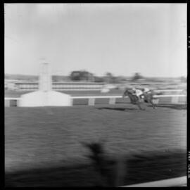 Tauranga Race Course race day