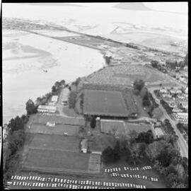 Aerial view of Tauranga domain
