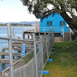Dive Crescent, Tauranga
