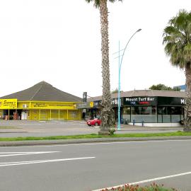 217 Maunganui Road, Mount Maunganui