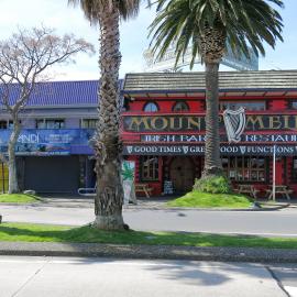 317 Maunganui Road, Mount Maunganui