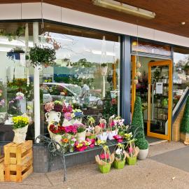 Giftware, 60 Cherrywood Lane, Tauranga