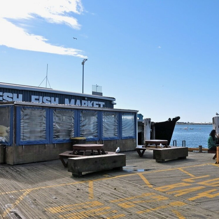 Dive Crescent, Tauranga: Rodney Giddens Tauranga CBD and Mount Maunganui Series