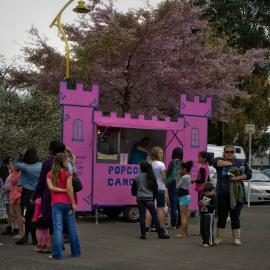 Greerton Village Cherry Blosom Festival 2012 19 - Copy