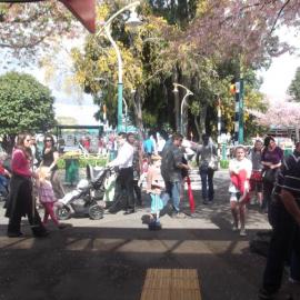 Greerton Village Cherry Blossom Festival (2012)