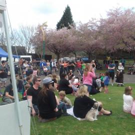 Greerton Village Cherry Blossom Festival (2012)