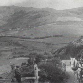 Early Chinese Market Gardens