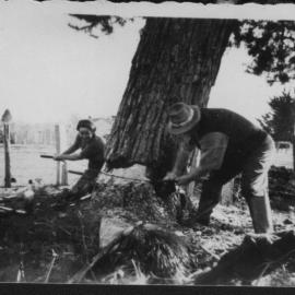 Kay's parents on a two-handed saw