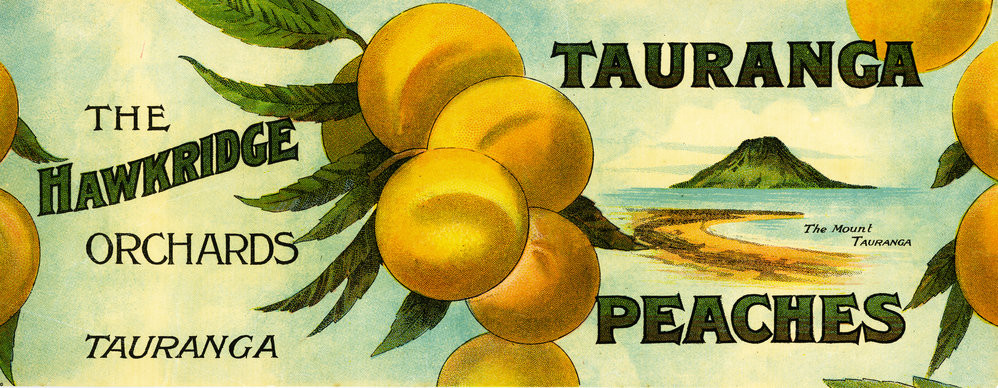 Hawkridge orchards label for canned Golden Queen peaches, from the Mayfield family orchard, Bethlehem. Te Ao Mārama - Tauranga City Libraries Photo 10-085