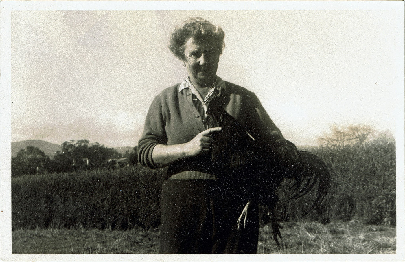 Marion (Marie) Stewart, with Orpington Rooster. Acknowledgement: Tauranga Historic Society Blog, Marion "Marie" Watson Stewart (1898-1983), 2 July 2021.