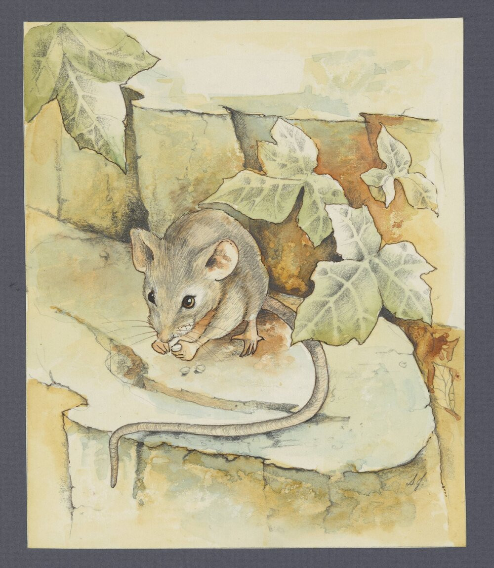 The Firewind and the Song artworks