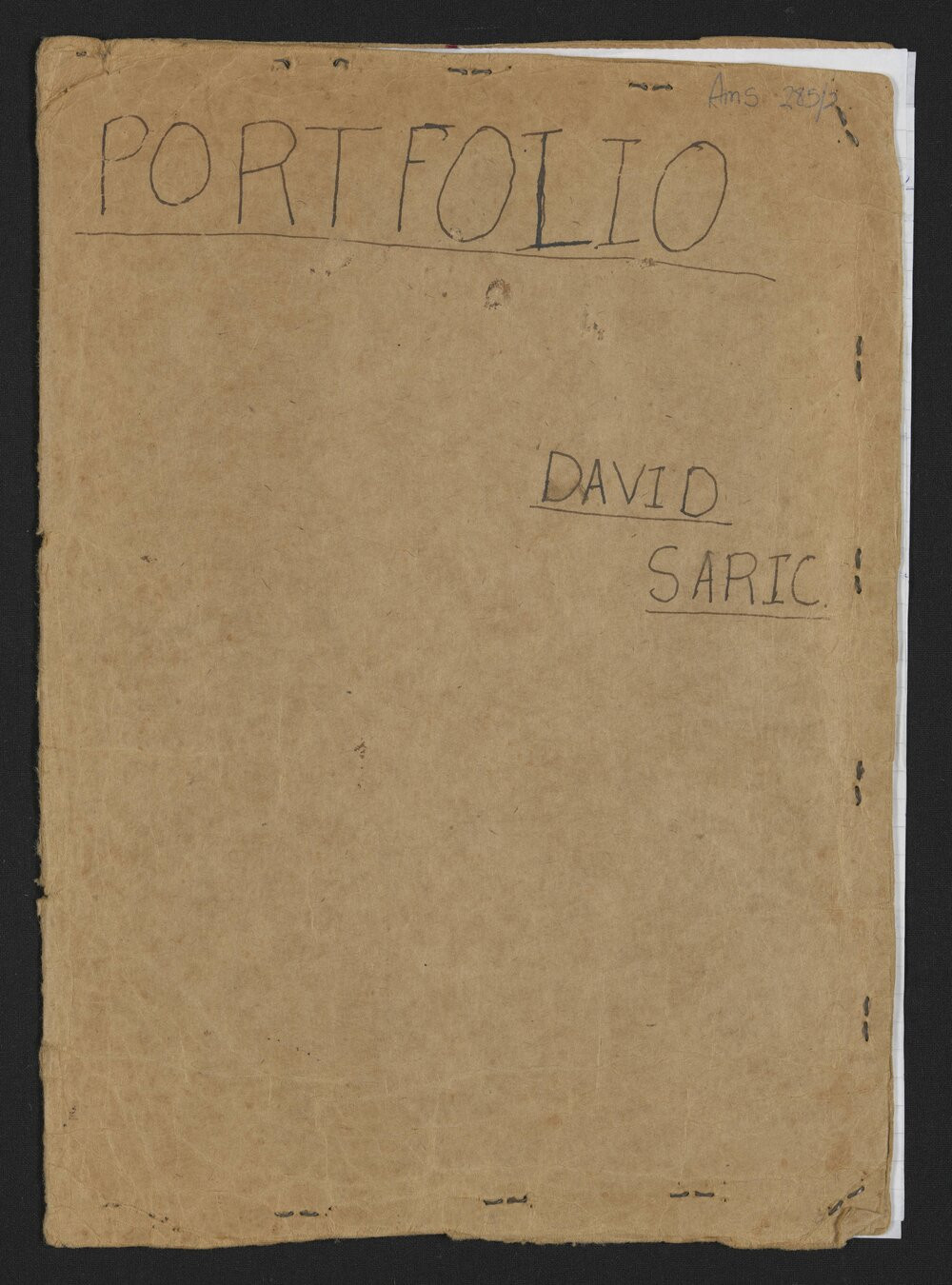 Portfolio on Michael Hodgkins, compiled by David Saric.  