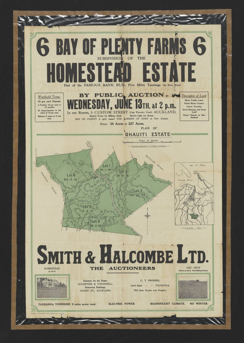 Map 24-218 Poster - Subdivision of the Homestead Estate, Ohauiti