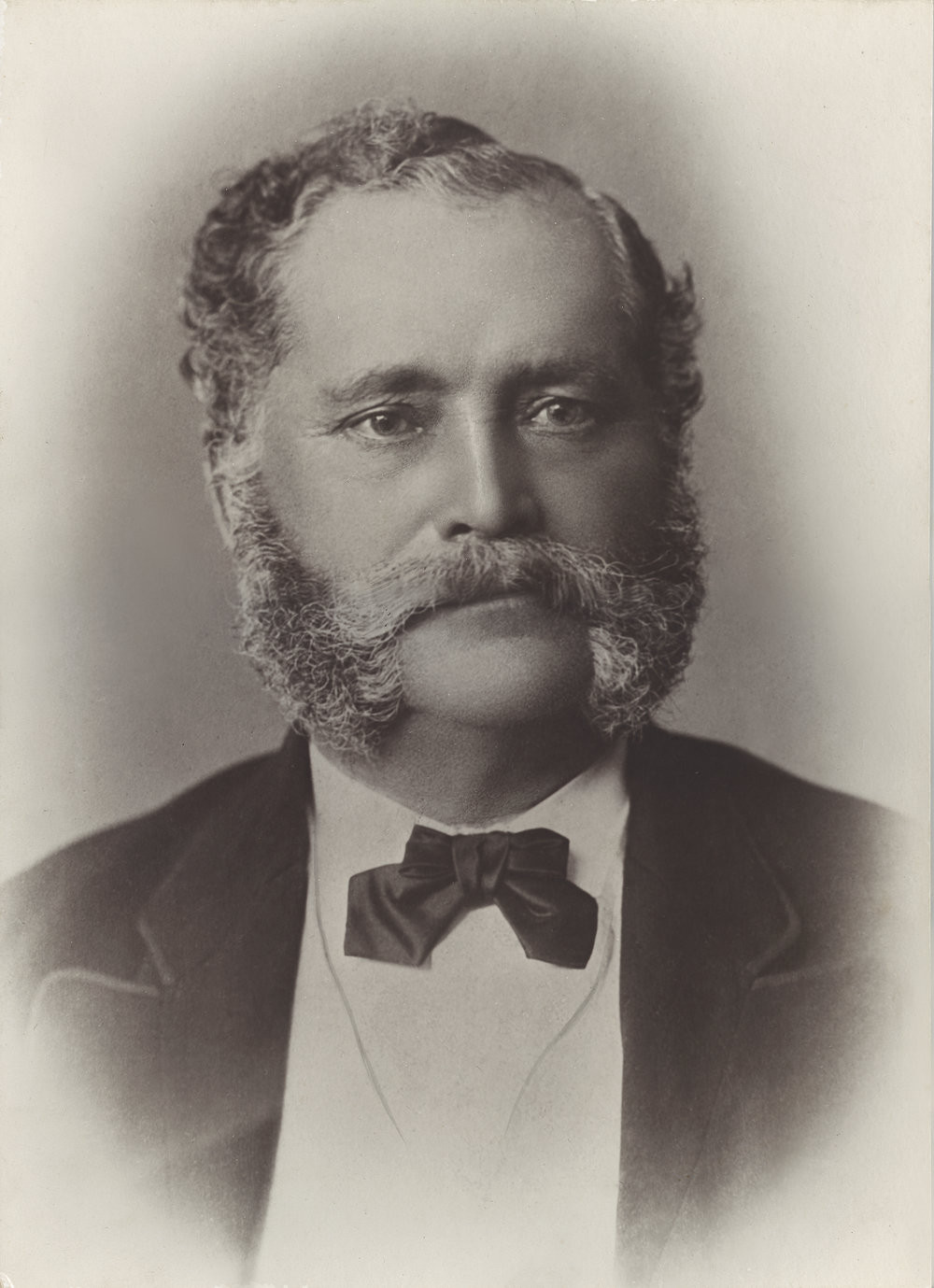 Te Ao Mārama - Tauranga City Libraries Photo 21-1856
