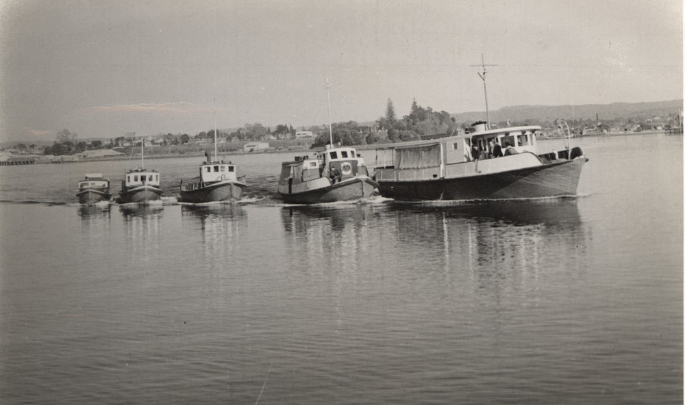 Faulkner's Ferries on Tauranga harbour. L to r: Farina, Shamrock Leaf, Reremoana, Waitere, Aotearoa. Photo taken between 1949, when Aotearoa bought by Faulkner Bros. Ltd, and 1965, when she was sold to the Kerridge organisation in Auckland. Te Ao Mārama - Tauranga City Libraries Photo 04-578