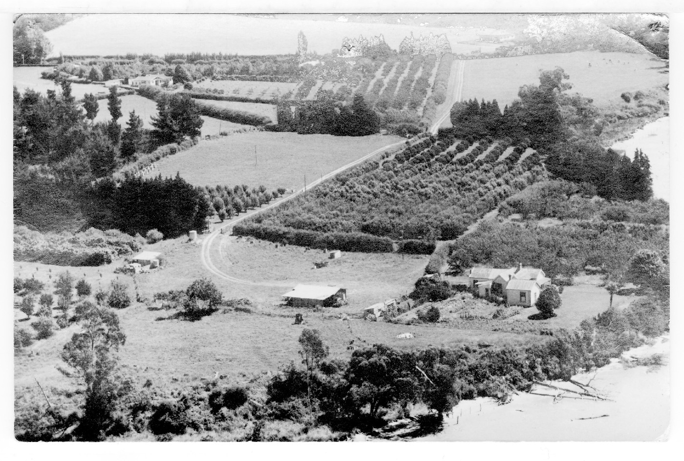 Photograph with Ams 538-2 used within Peg Cummins' "A History of Welcome Bay"