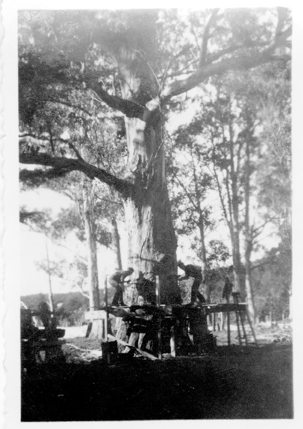 Photograph within Ams 538/5