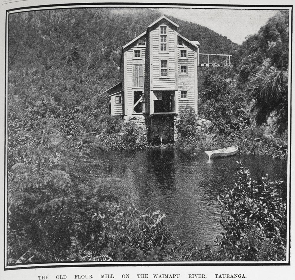 Supplement to the Auckland Weekly News 4 May 1905 (p11). Sir George Grey Special Collections, Auckland Libraries, AWNS19050504111

