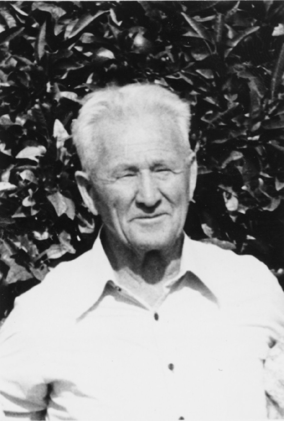 Alf Baikie about 1981.
Te Ao Mārama - Tauranga City Libraries Photo 03-492