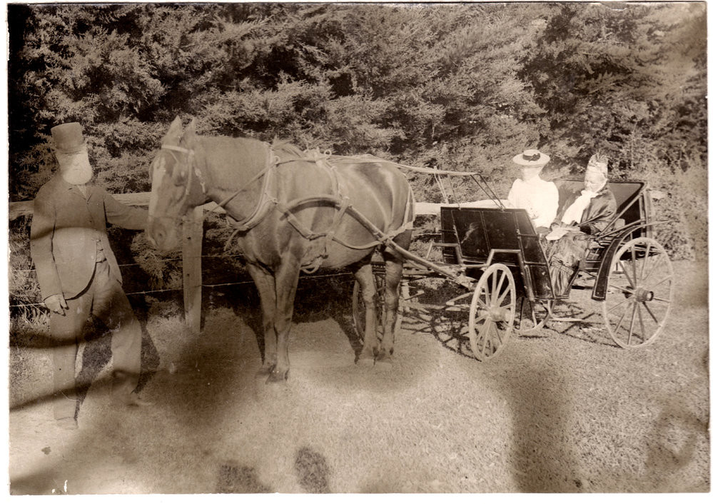 From "Our Idyllic Holiday" by Julie Green