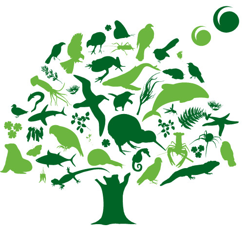 Minutes of Royal Forest and Bird Protection Society, Tauranga Branch