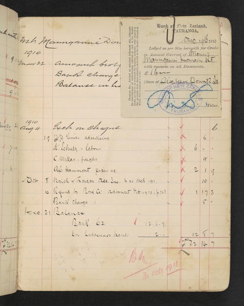 Accounts of Mount Maunganui Domain Board