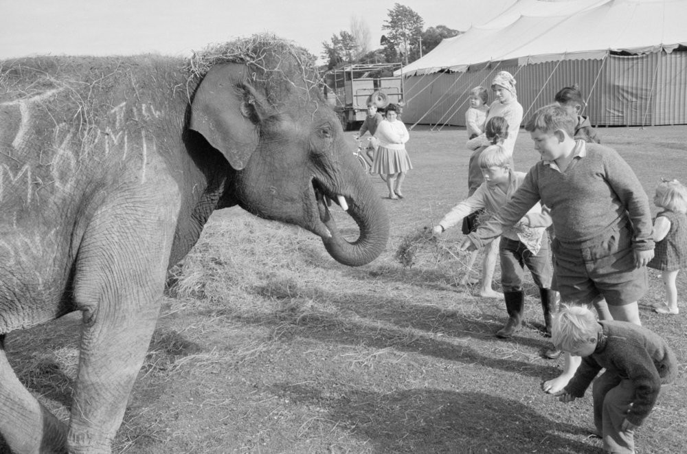 Big top comes to town. From image pn-2954