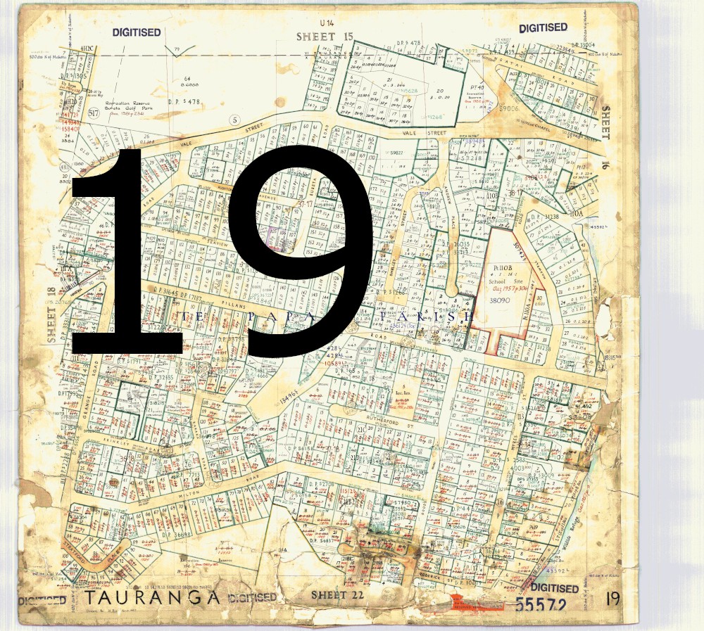 Tile 19: Survey Office map 55572